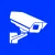 Online IP Cameras