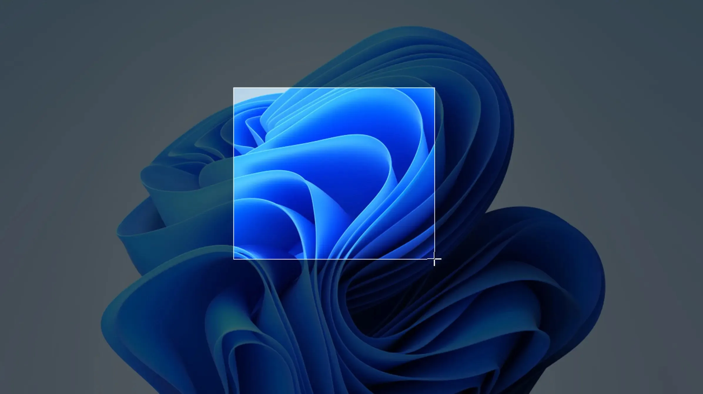 Screenshot· screenshot 1