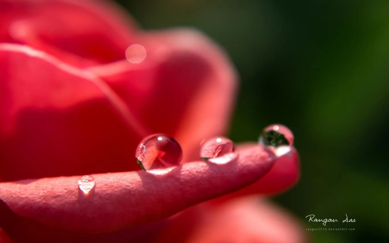 Raindrops by Rangan Das screenshot 3