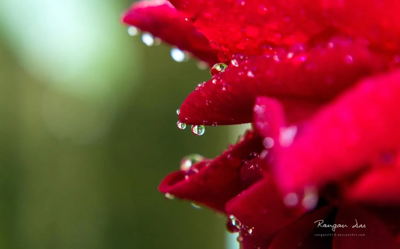 Raindrops by Rangan Das screenshot 4