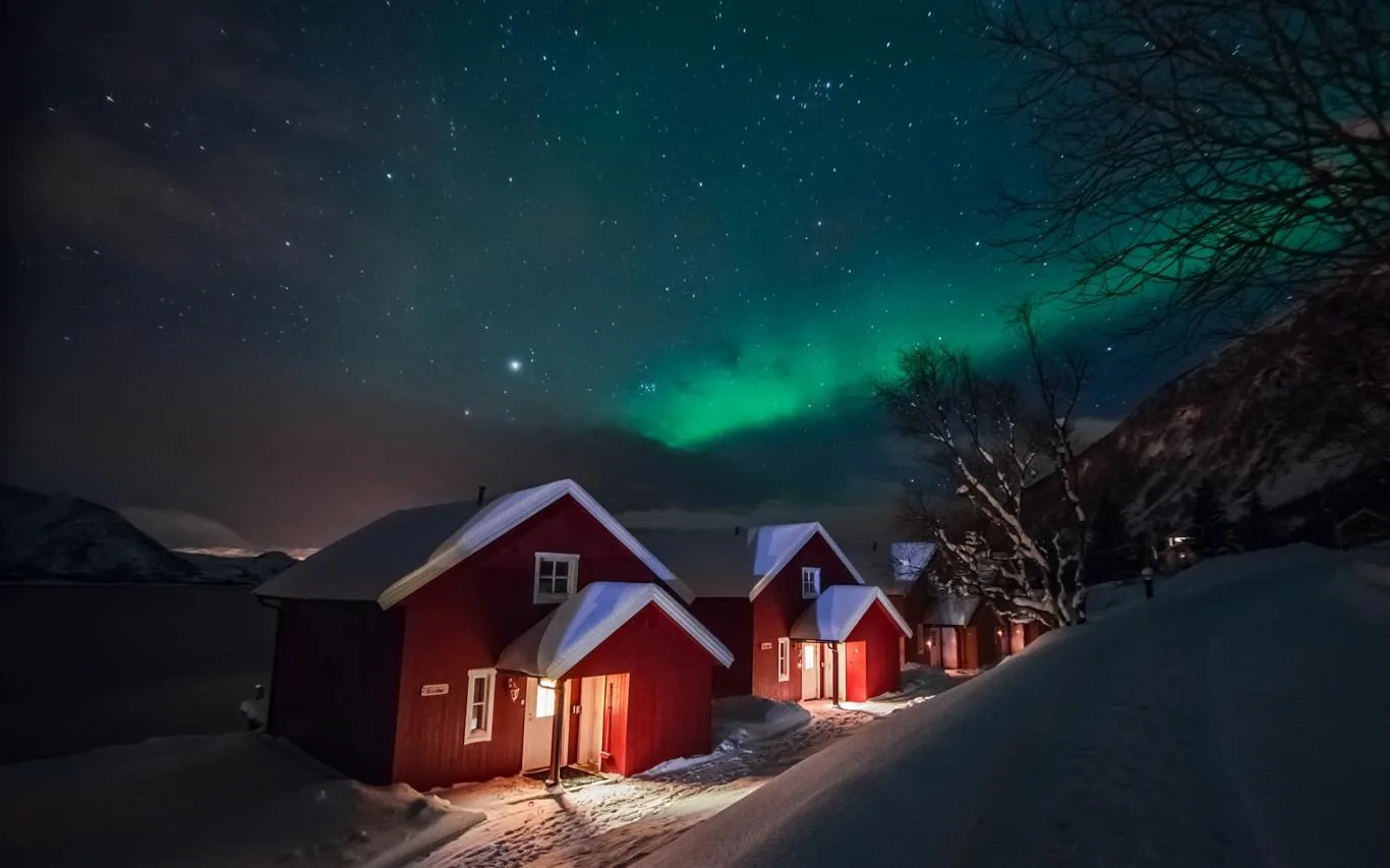 Warm Winter Nights screenshot 1