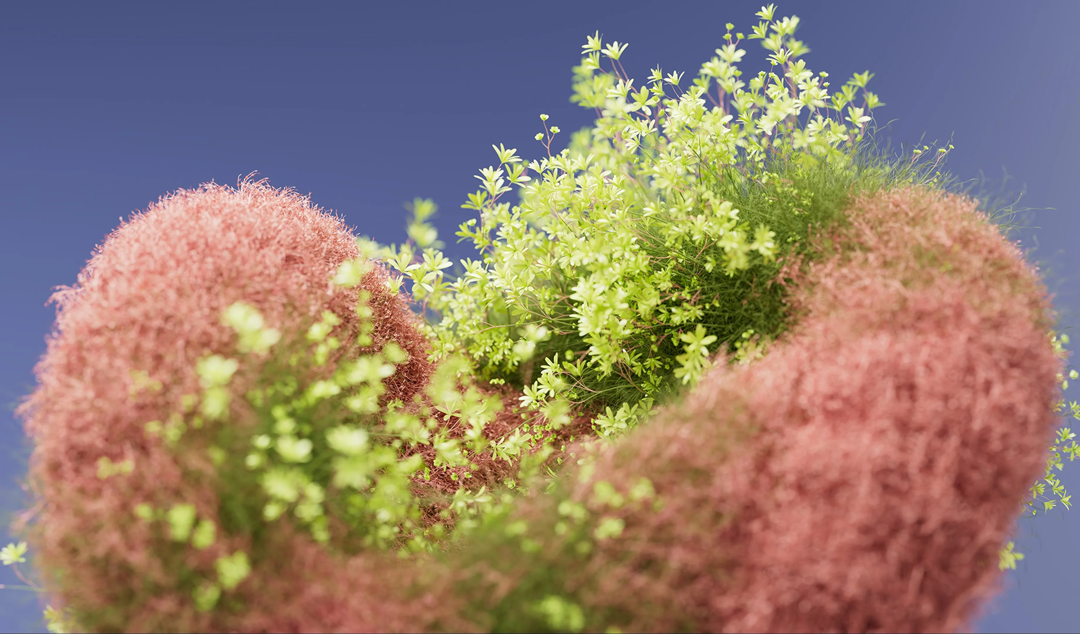 Blooming Dimensions screenshot 1