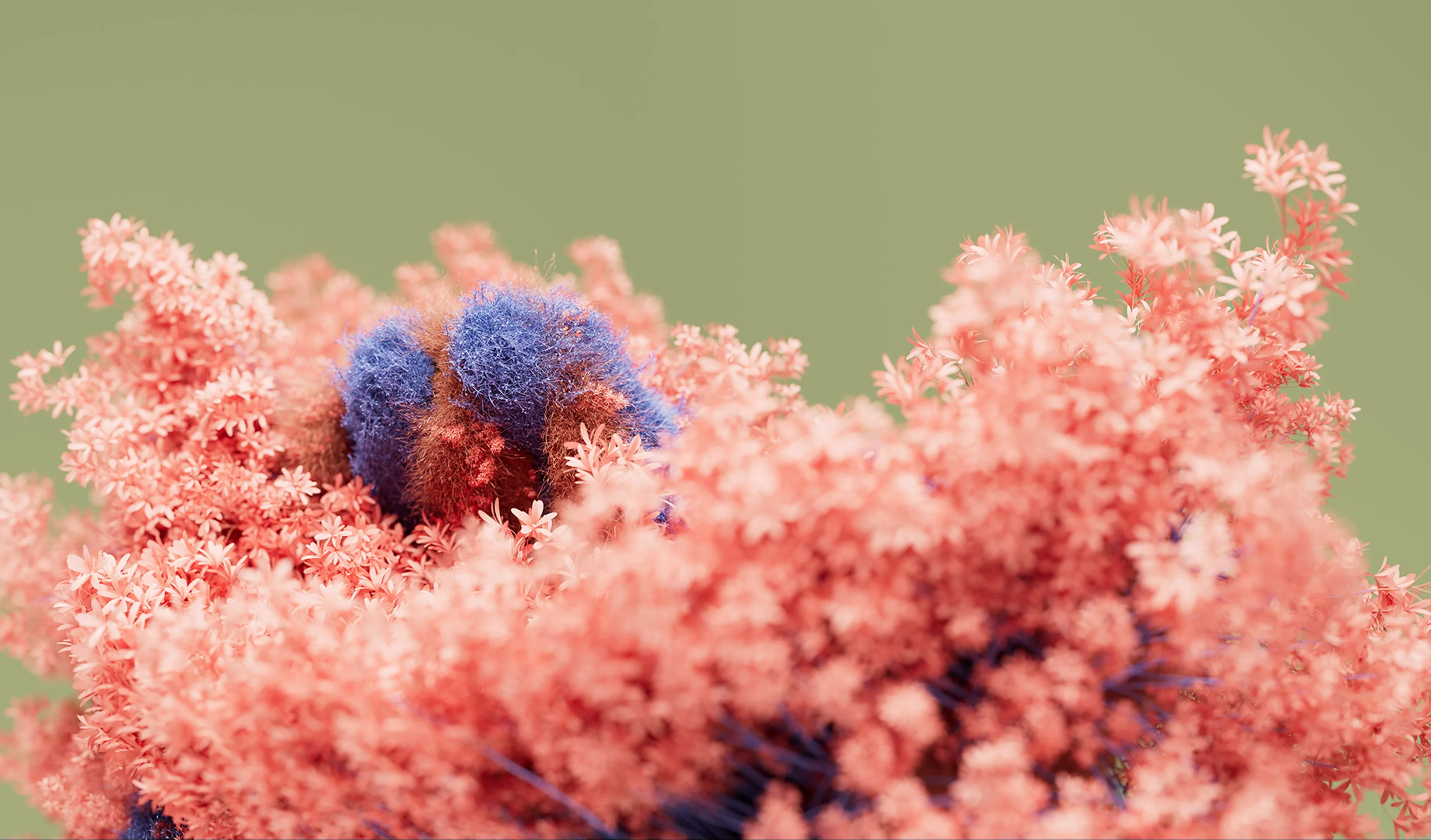 Blooming Dimensions screenshot 4