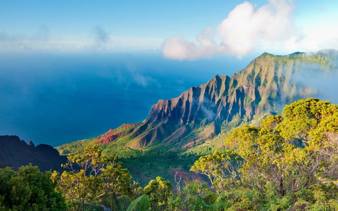 Hawaiian Vacation screenshot 2
