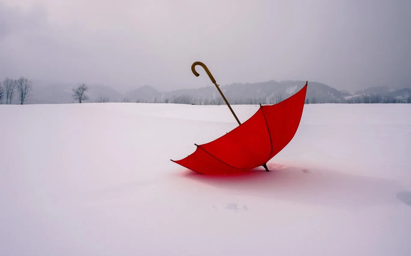 Umbrellas screenshot 1