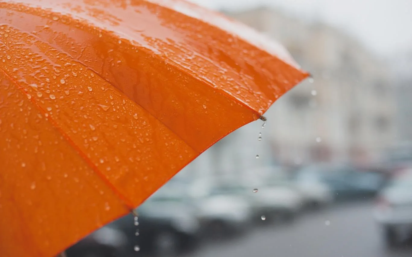 Umbrellas screenshot 2