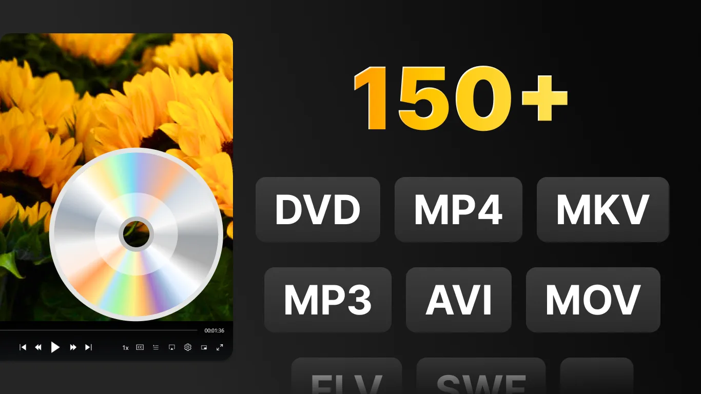 DVD+ screenshot 5