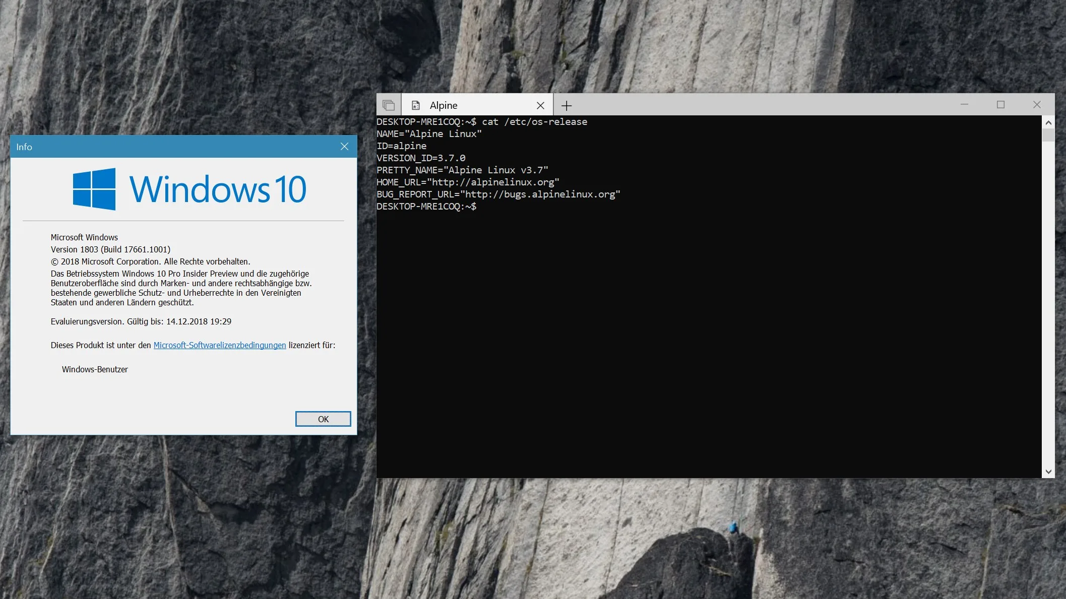 Alpine WSL screenshot 1
