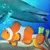 Fish Farm 3