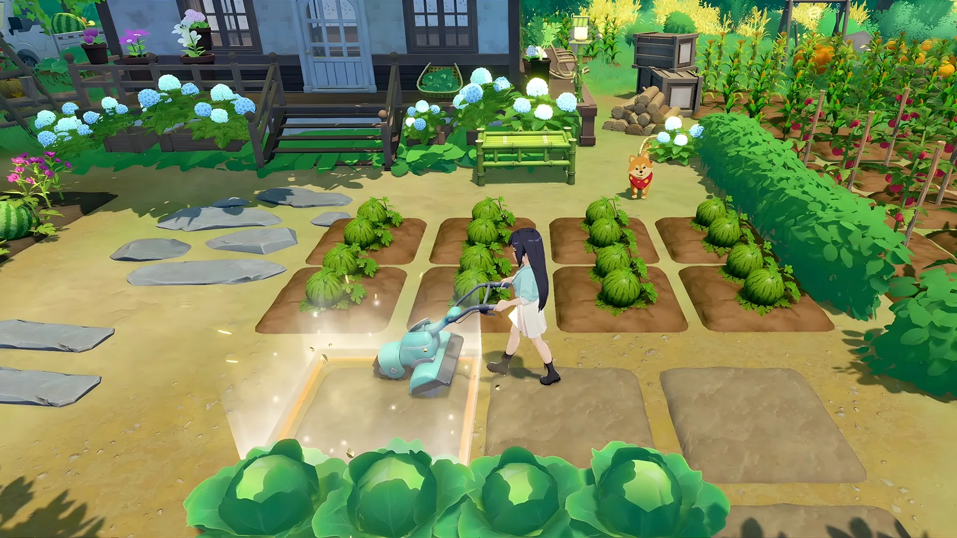 Starsand Island screenshot 1