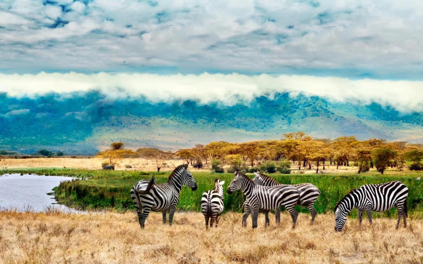 World National Parks screenshot 3