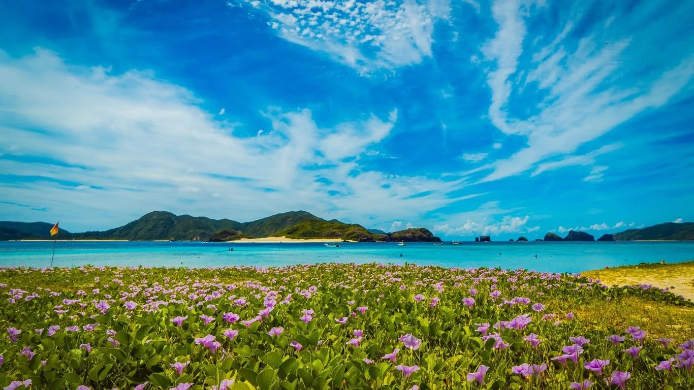 Japanese Islands screenshot 3