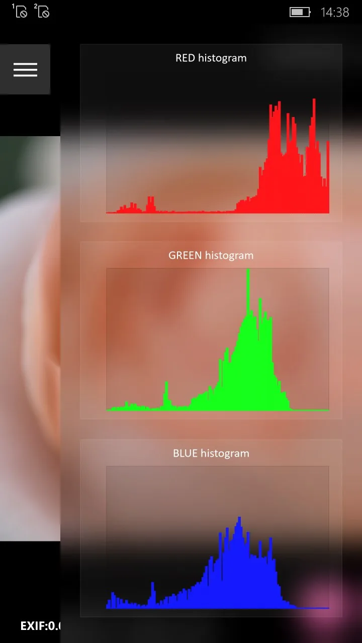 Image Raw.Viewer screenshot 2