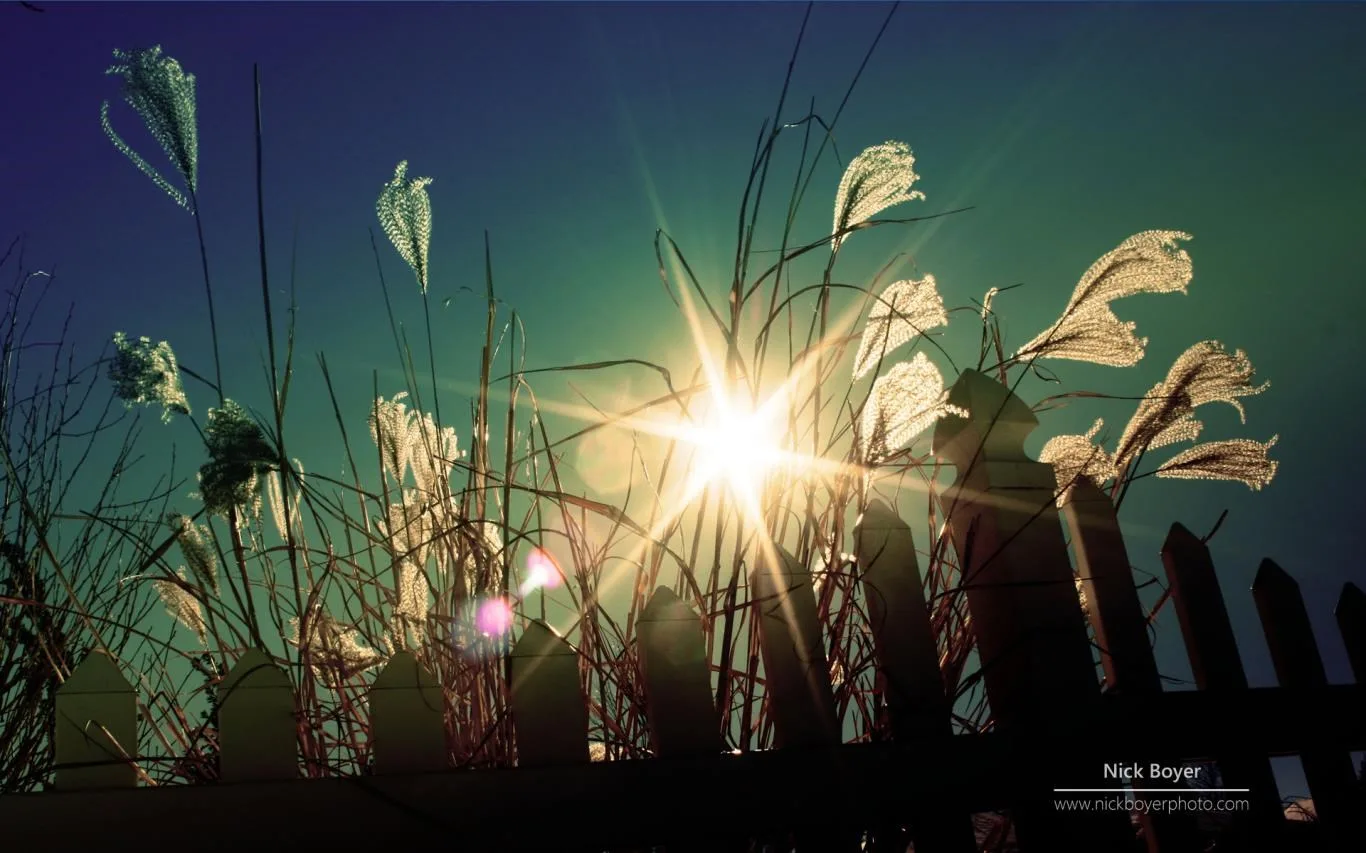 Light and Dark by Nick Boyer screenshot 2