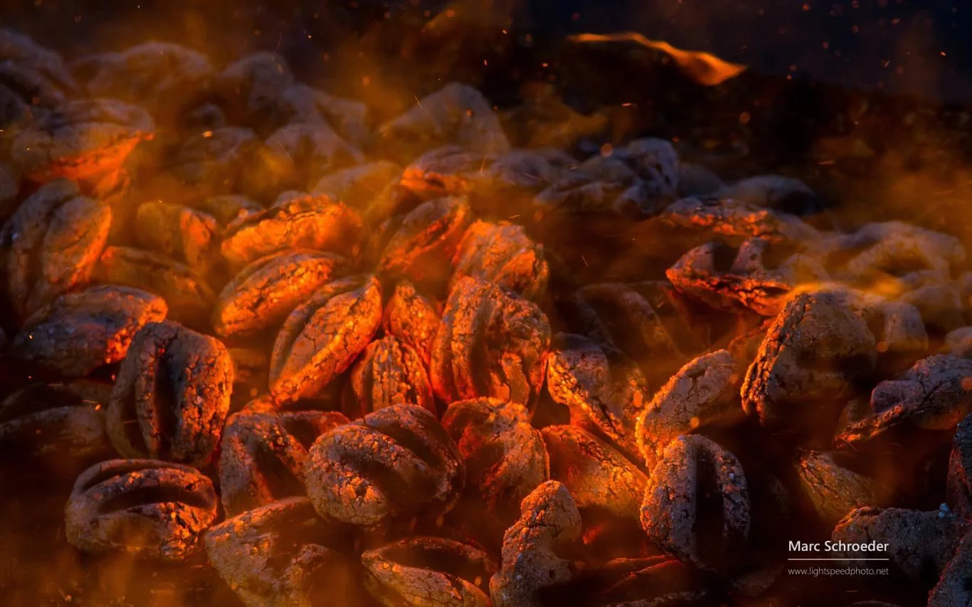 Fire by Marc Schroeder screenshot 4