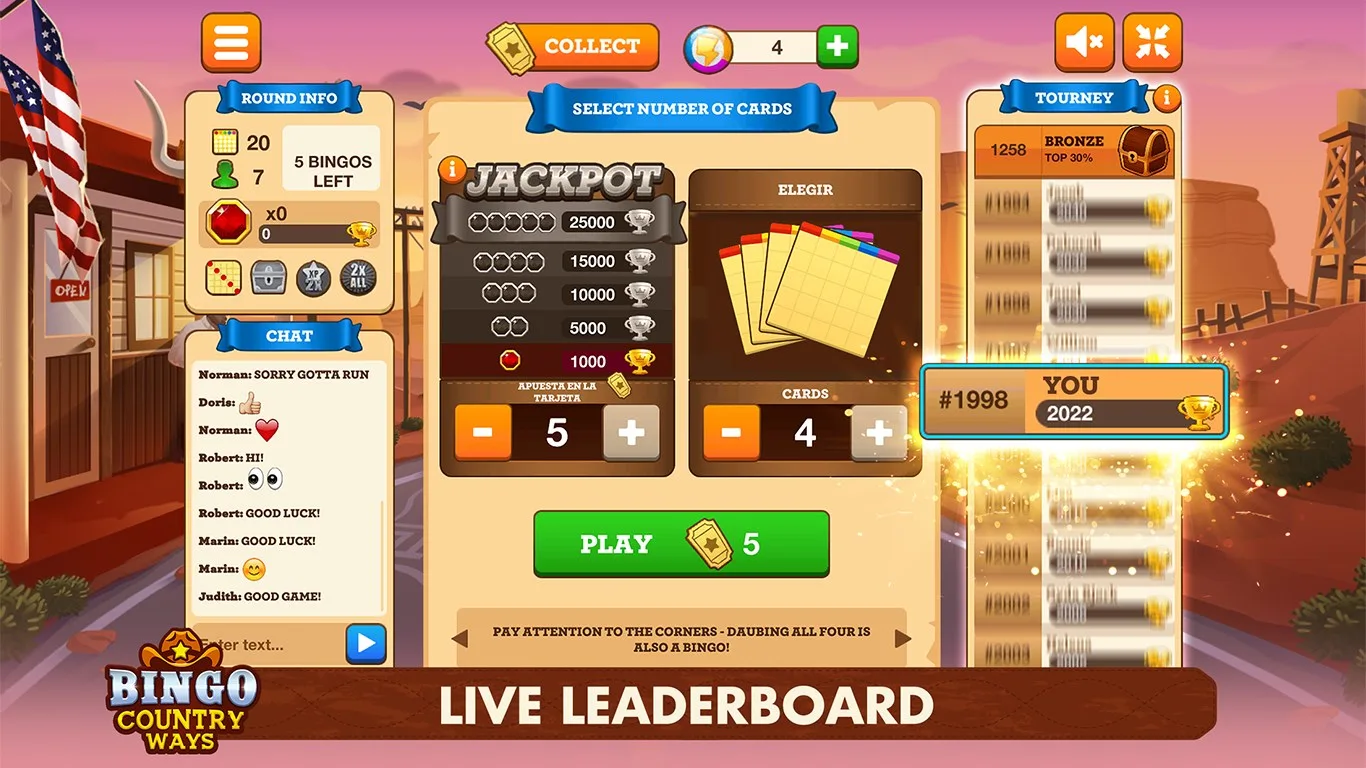 BINGO COUNTRY WAYS screenshot 1