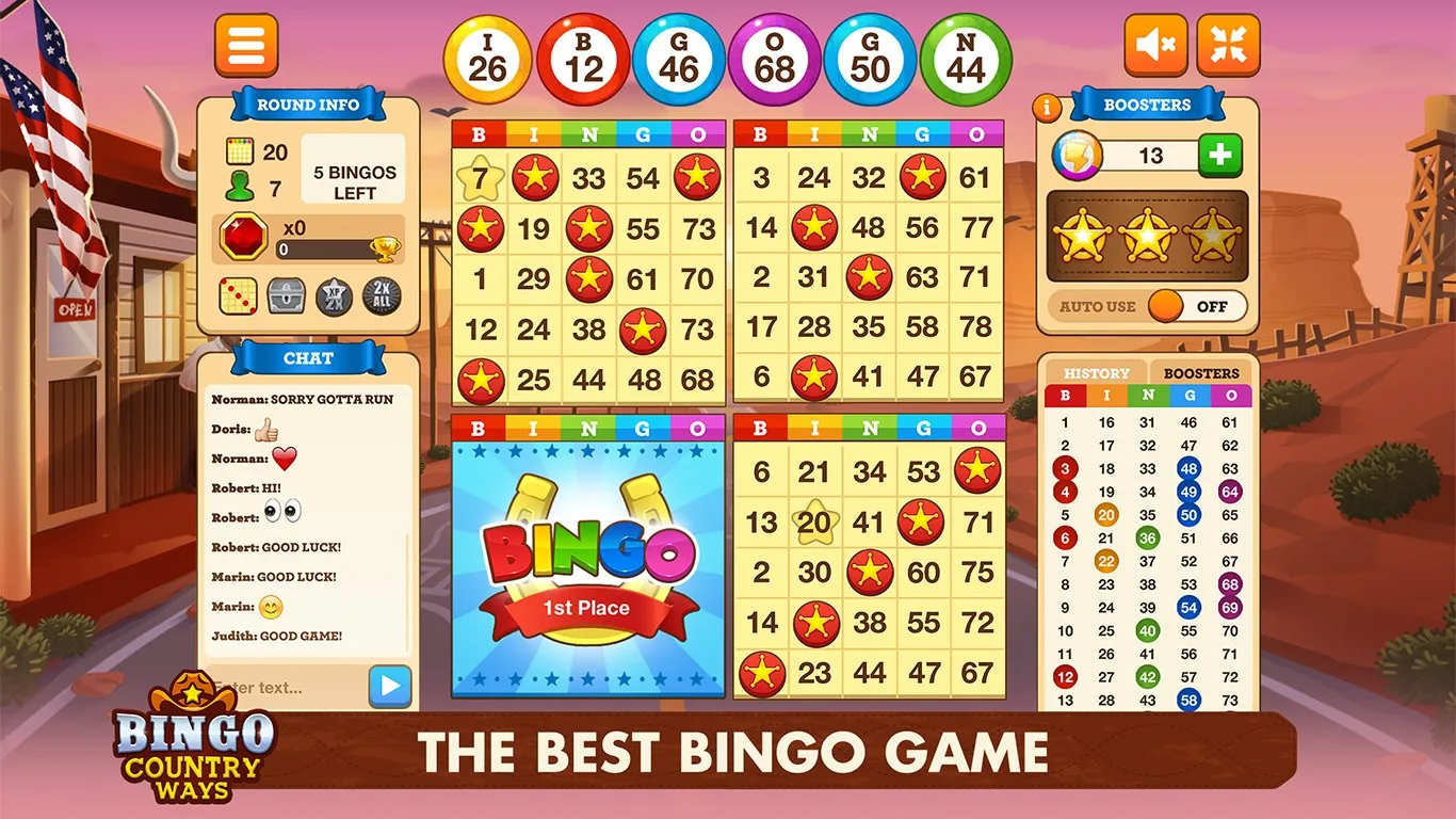 BINGO COUNTRY WAYS screenshot 3