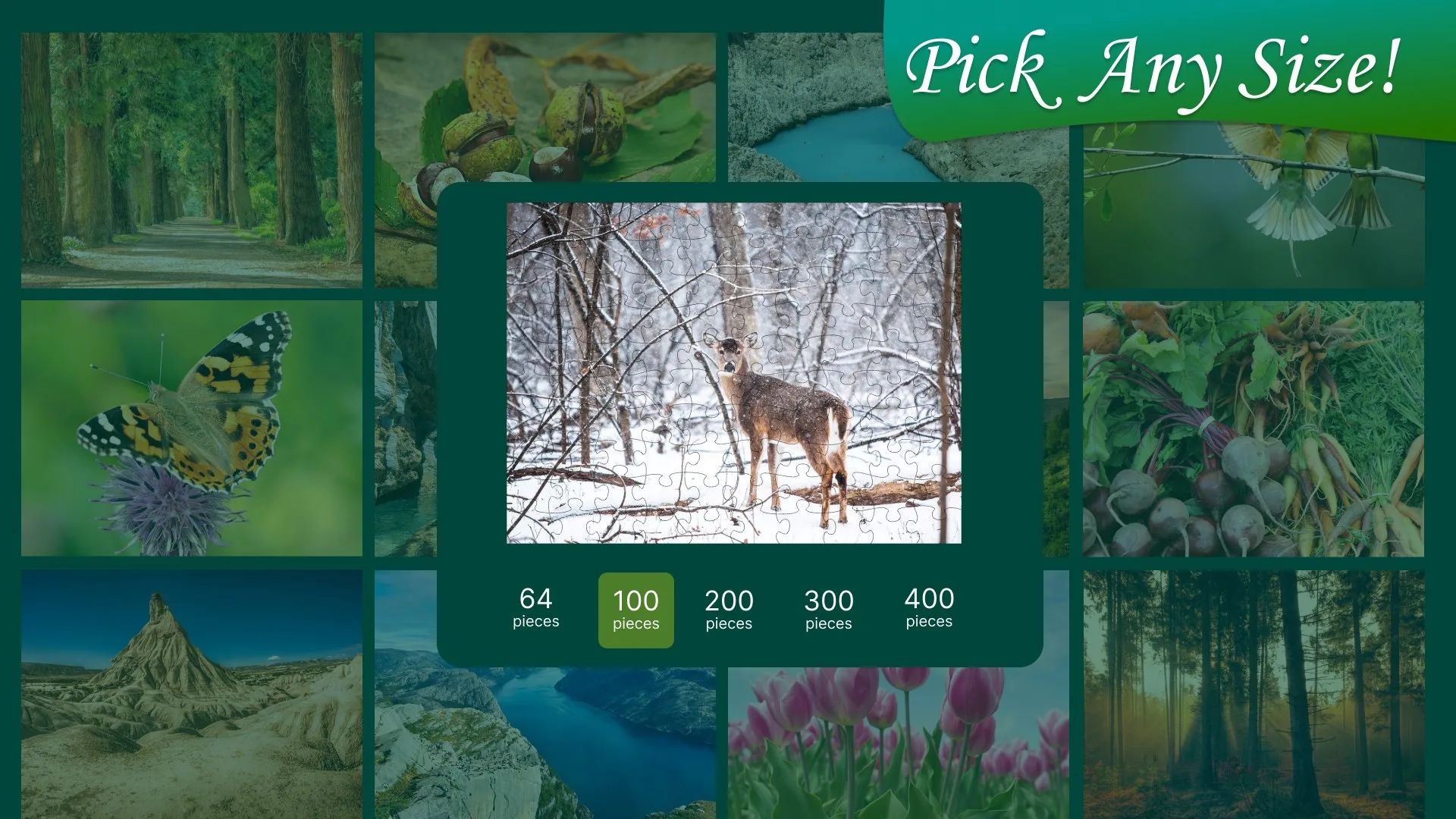 Jigsaw Puzzle Nature screenshot 3