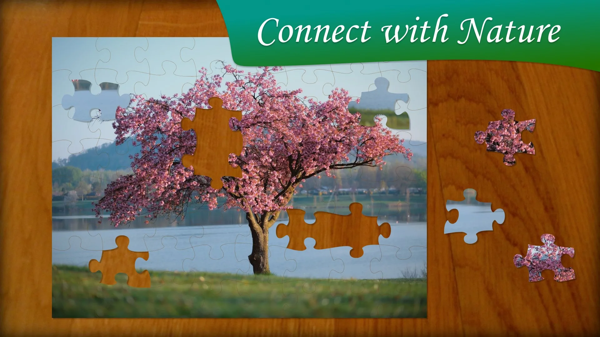 Jigsaw Puzzle Nature screenshot 4