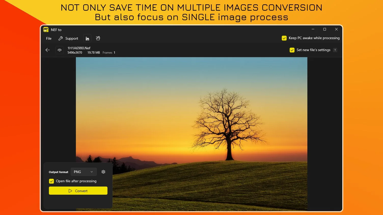 NEF to JPG - Batch Image Converter screenshot 3