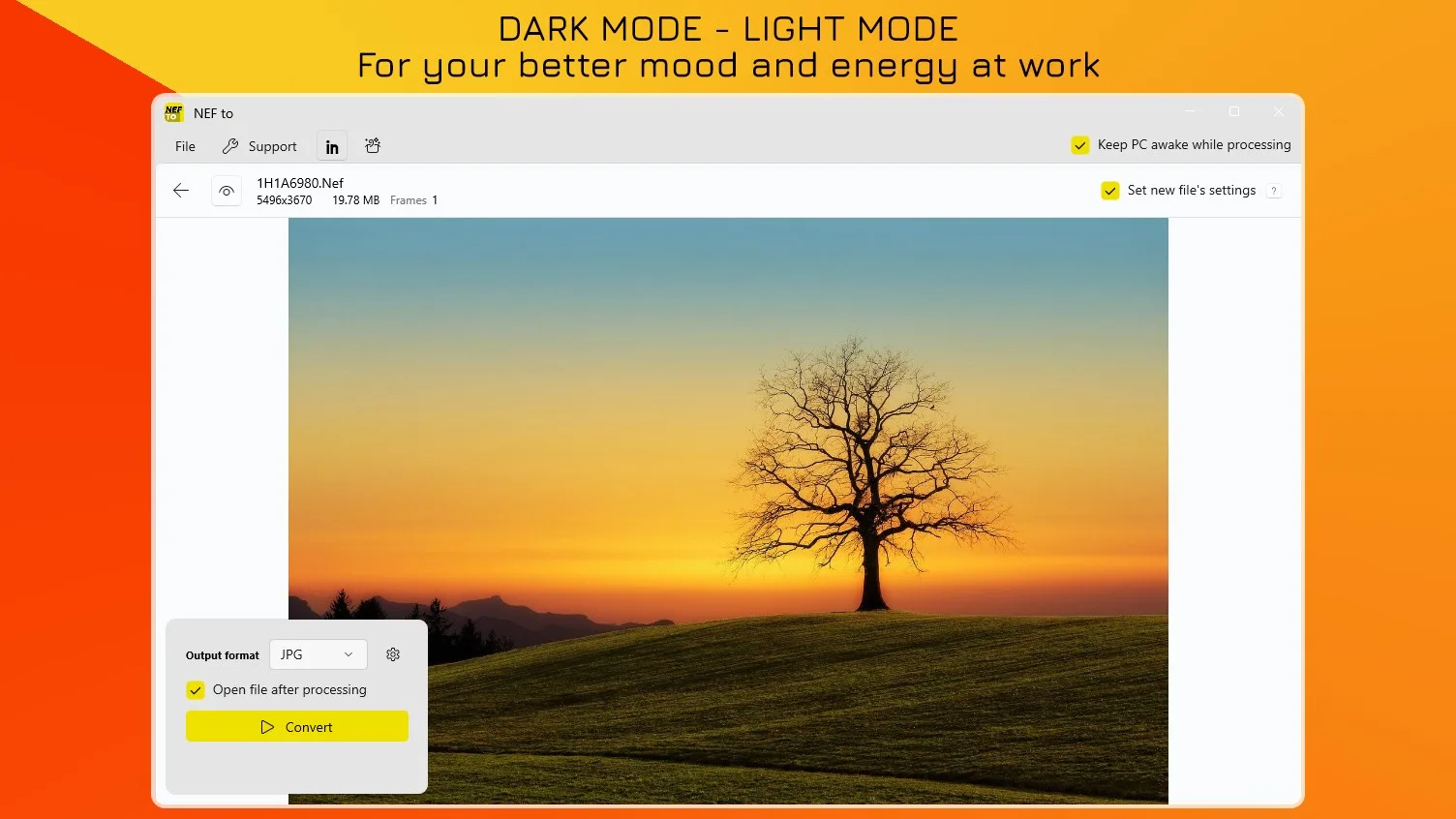 NEF to JPG - Batch Image Converter screenshot 4