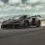 McLaren Senna Track Day