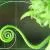 Fibonacci Sequence in Nature