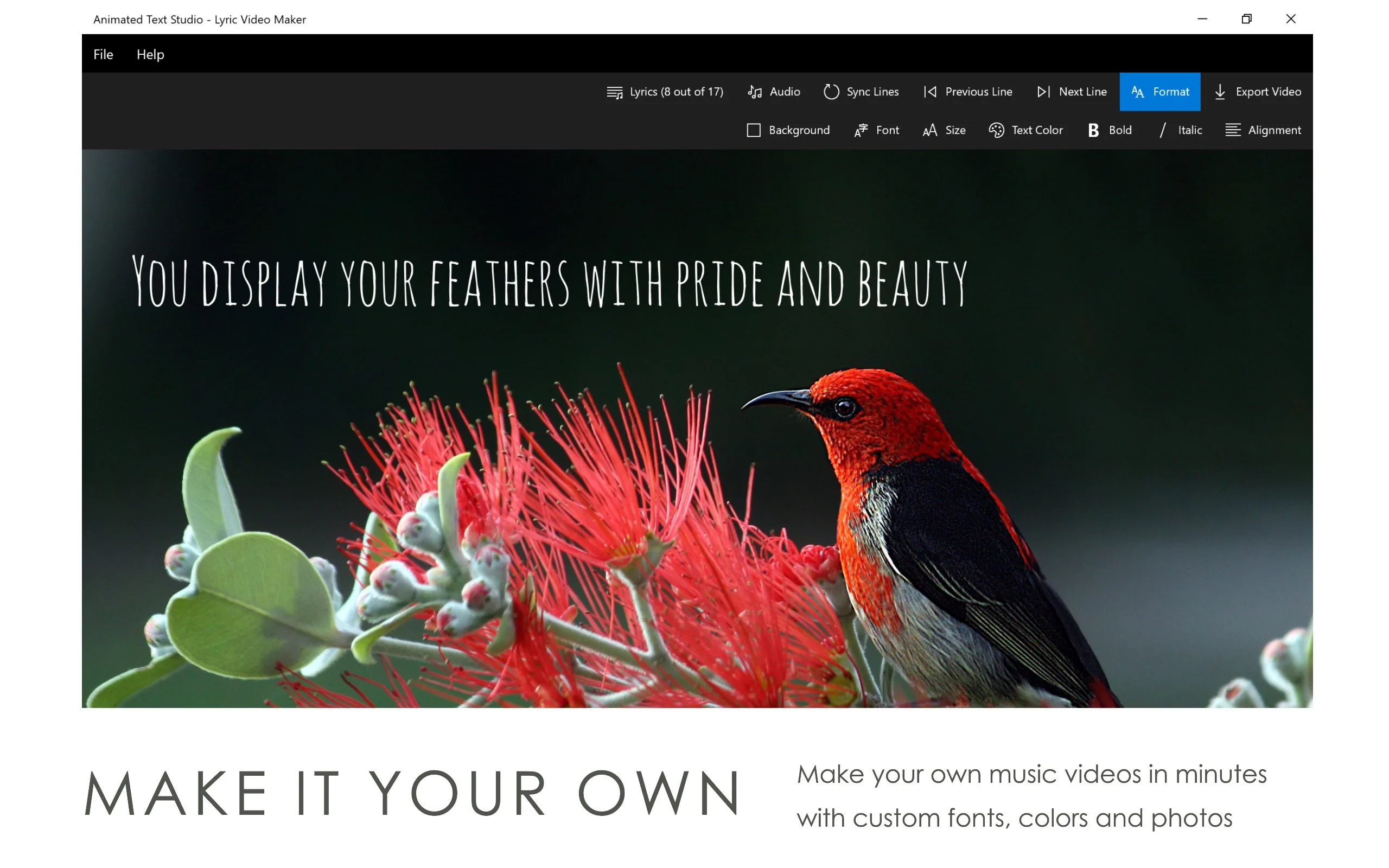 Animated Text Studio - Lyric Video Maker screenshot 4