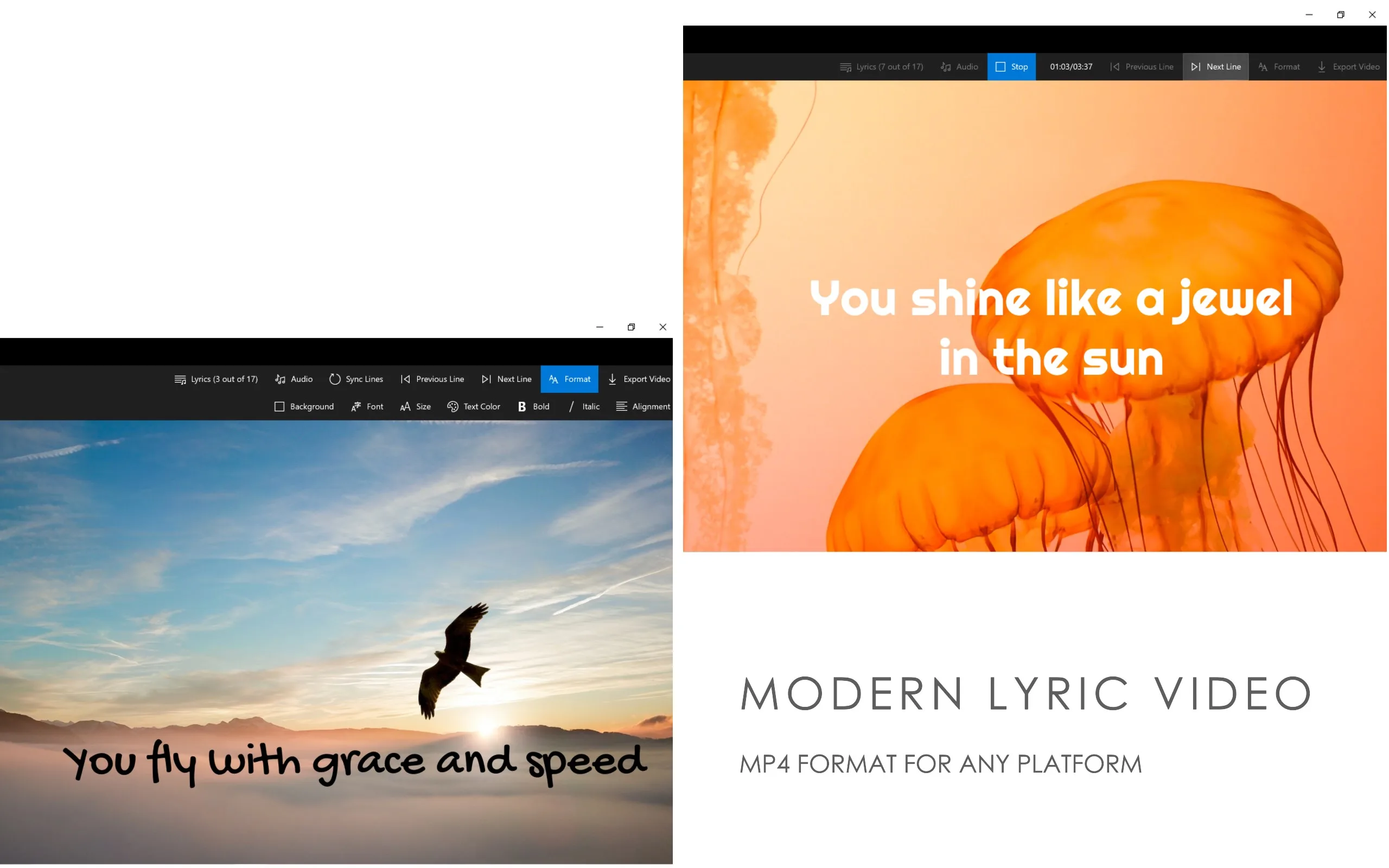 Animated Text Studio - Lyric Video Maker screenshot 5
