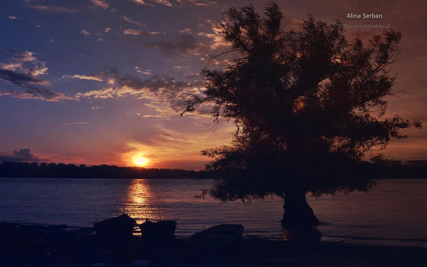 Danube Sunsets by Alina Serban screenshot 4