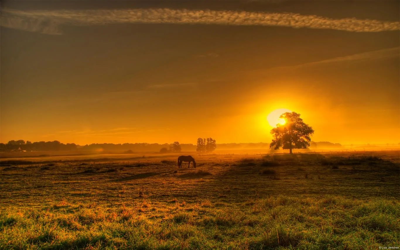 German Landscapes Photo Contest Winners screenshot 1
