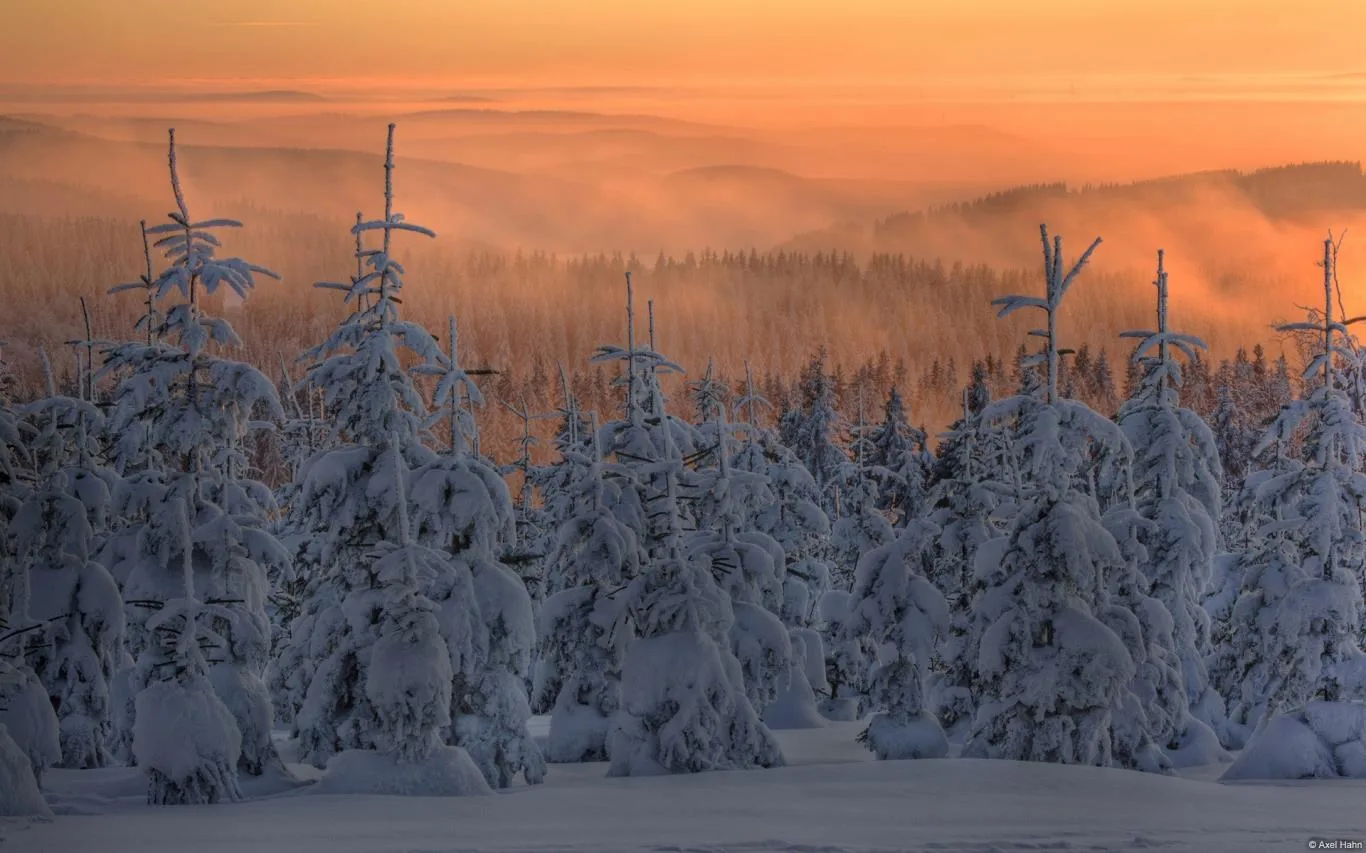 German Landscapes Photo Contest Winners screenshot 4
