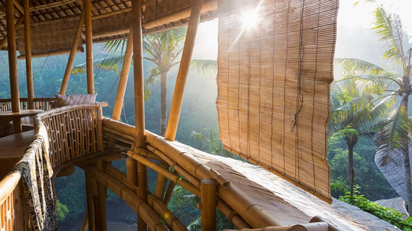 World of Bamboo screenshot 4