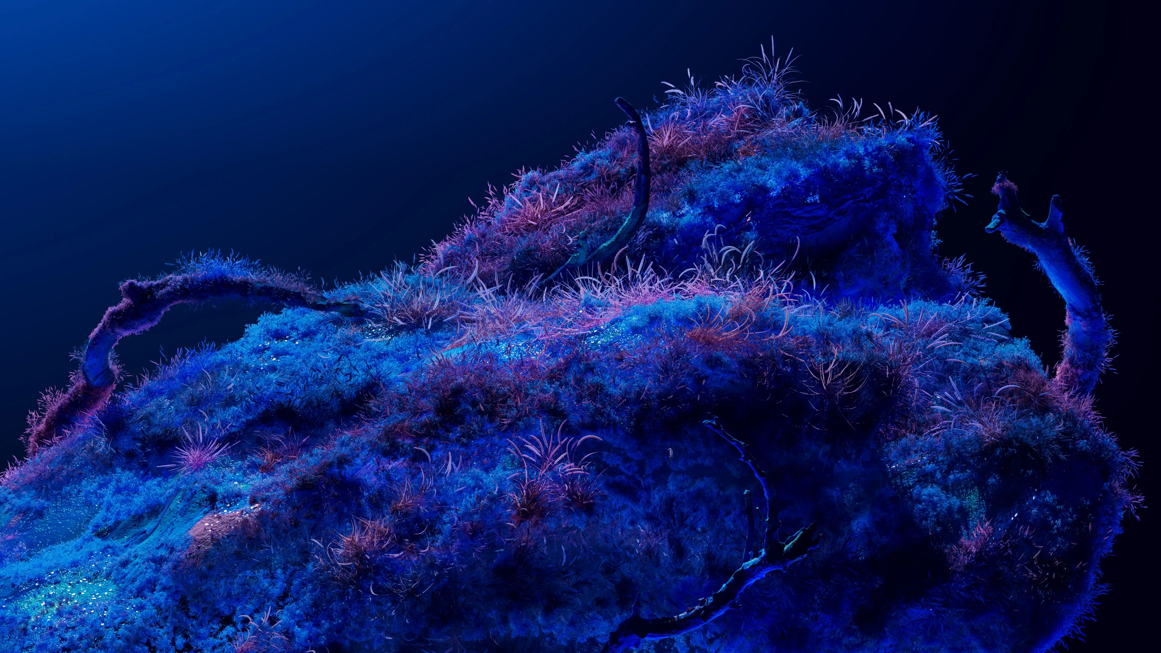 Cosmos Dreams screenshot 1