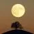 Near Side of the Moon
