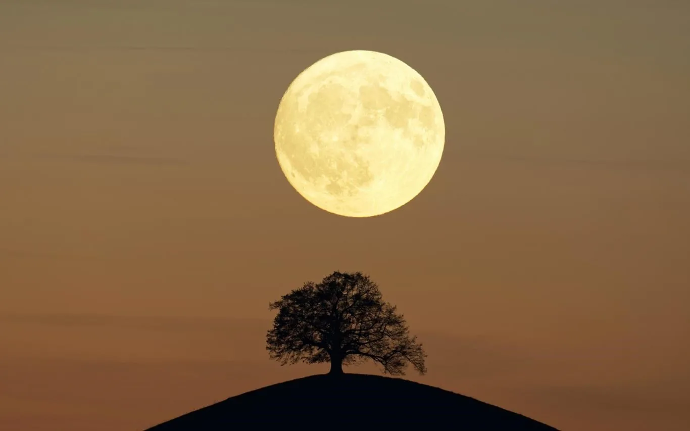 Near Side of the Moon screenshot 2