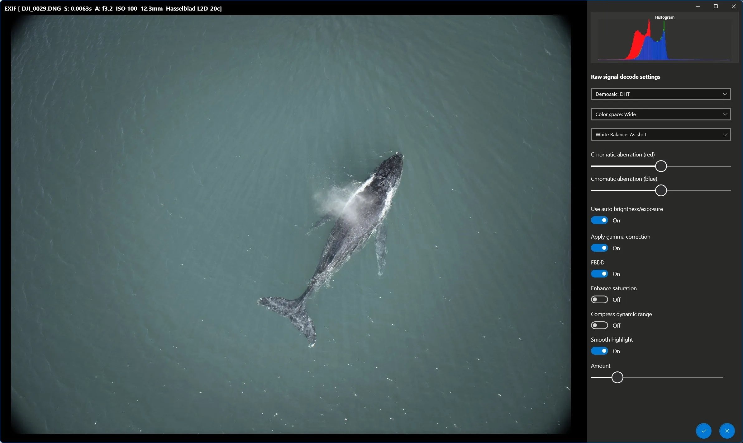Image Raw screenshot 2