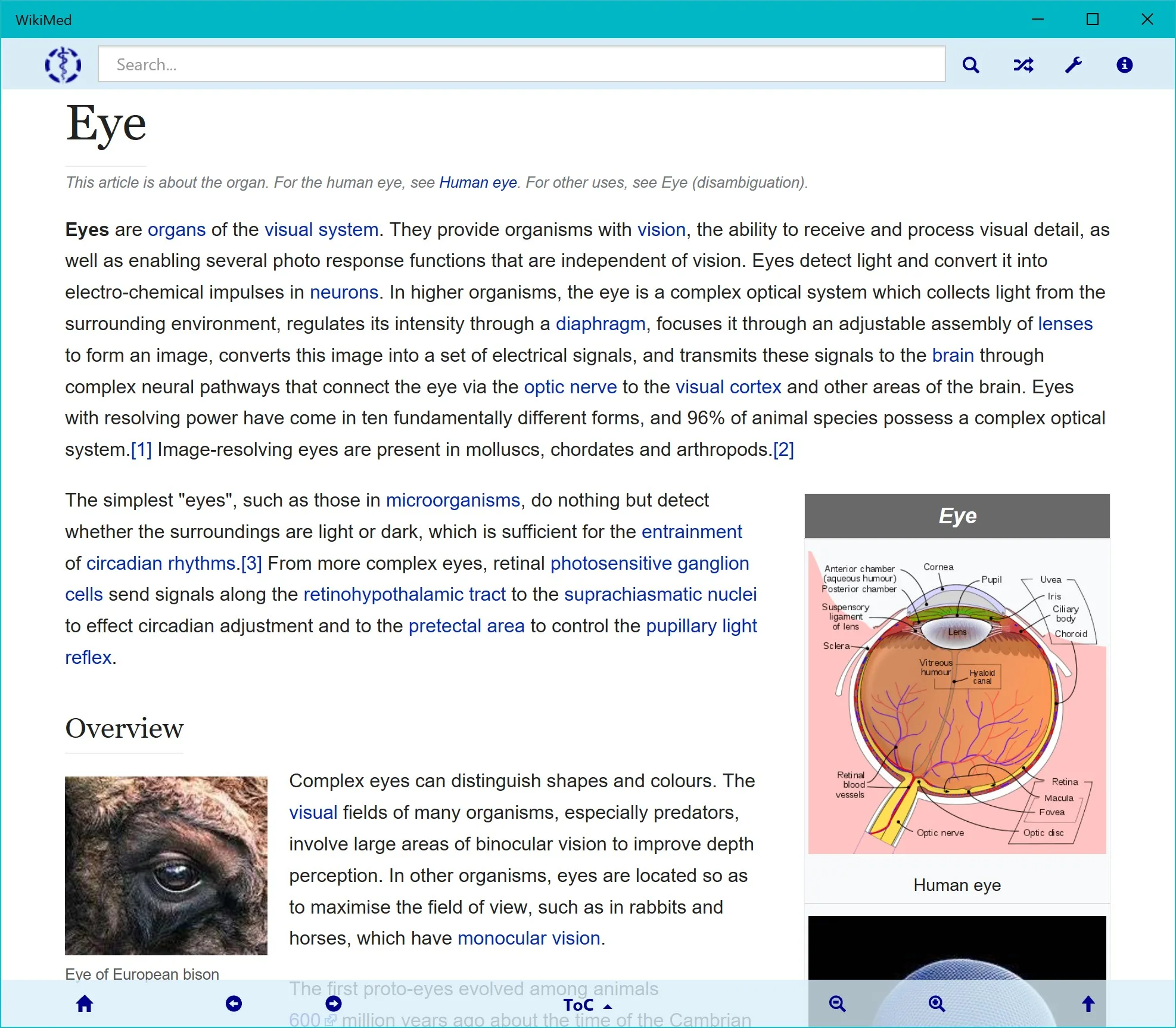 WikiMed by Kiwix screenshot 4