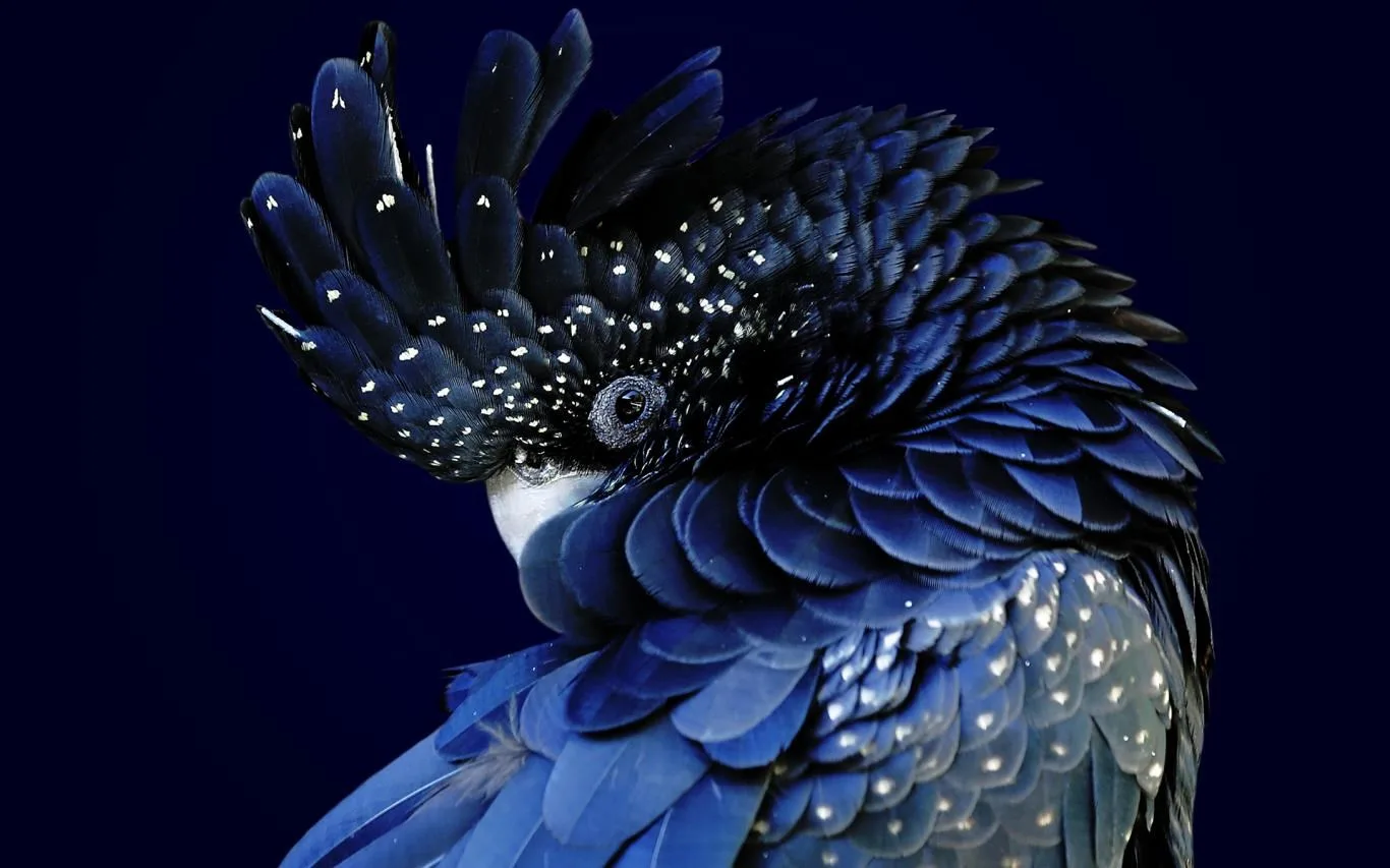 Glorious Blue screenshot 3
