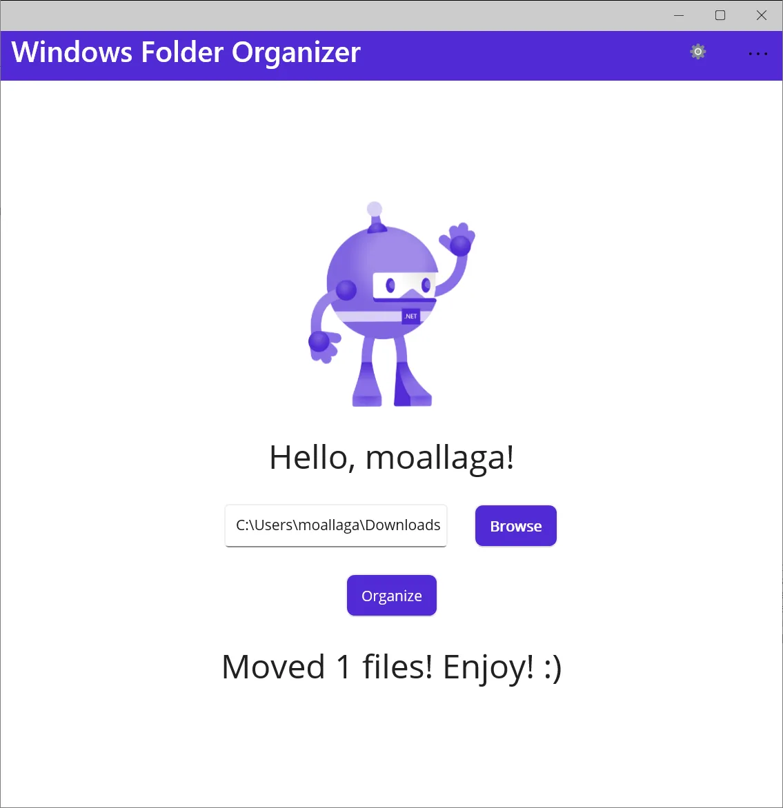 Windows Folder Organizer screenshot 2