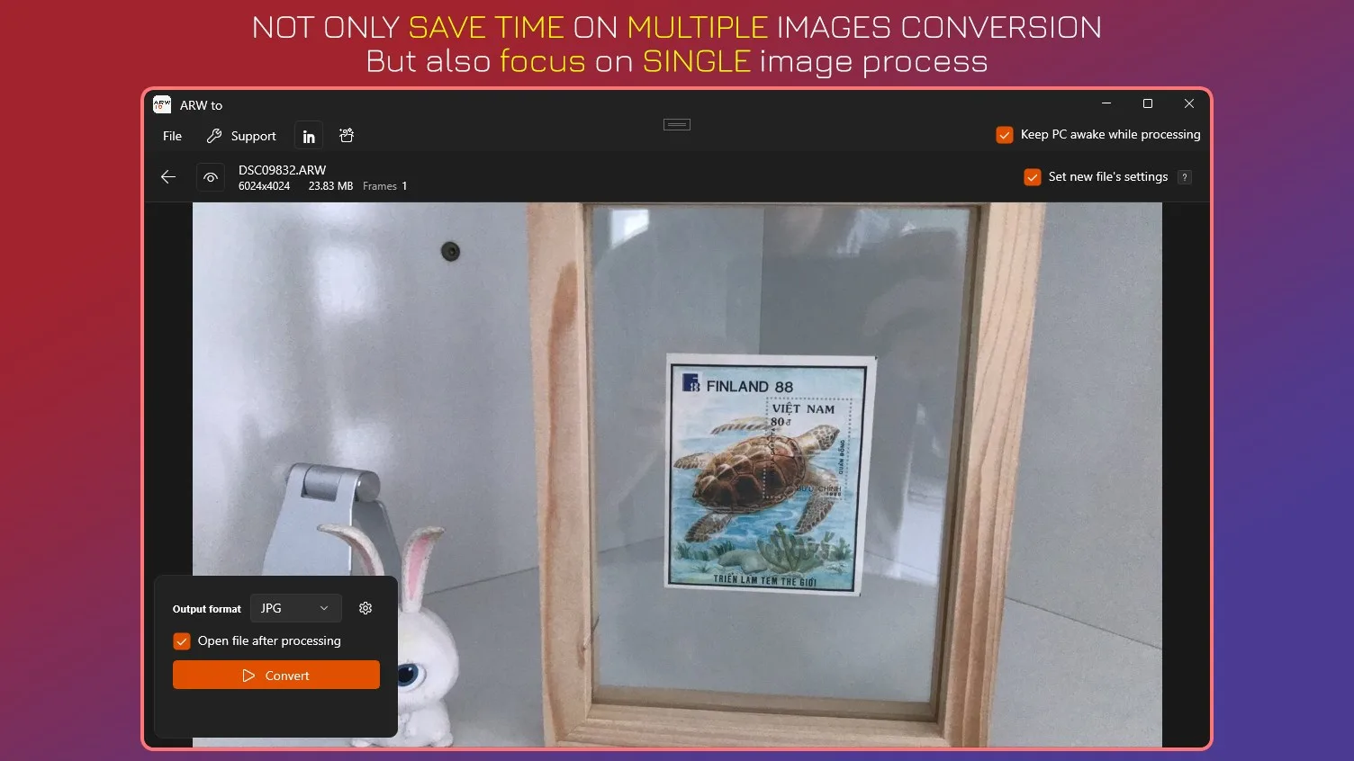 ARW to JPG - Batch Image Converter screenshot 3