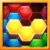 Block Puzzle - Hexa Puzzle