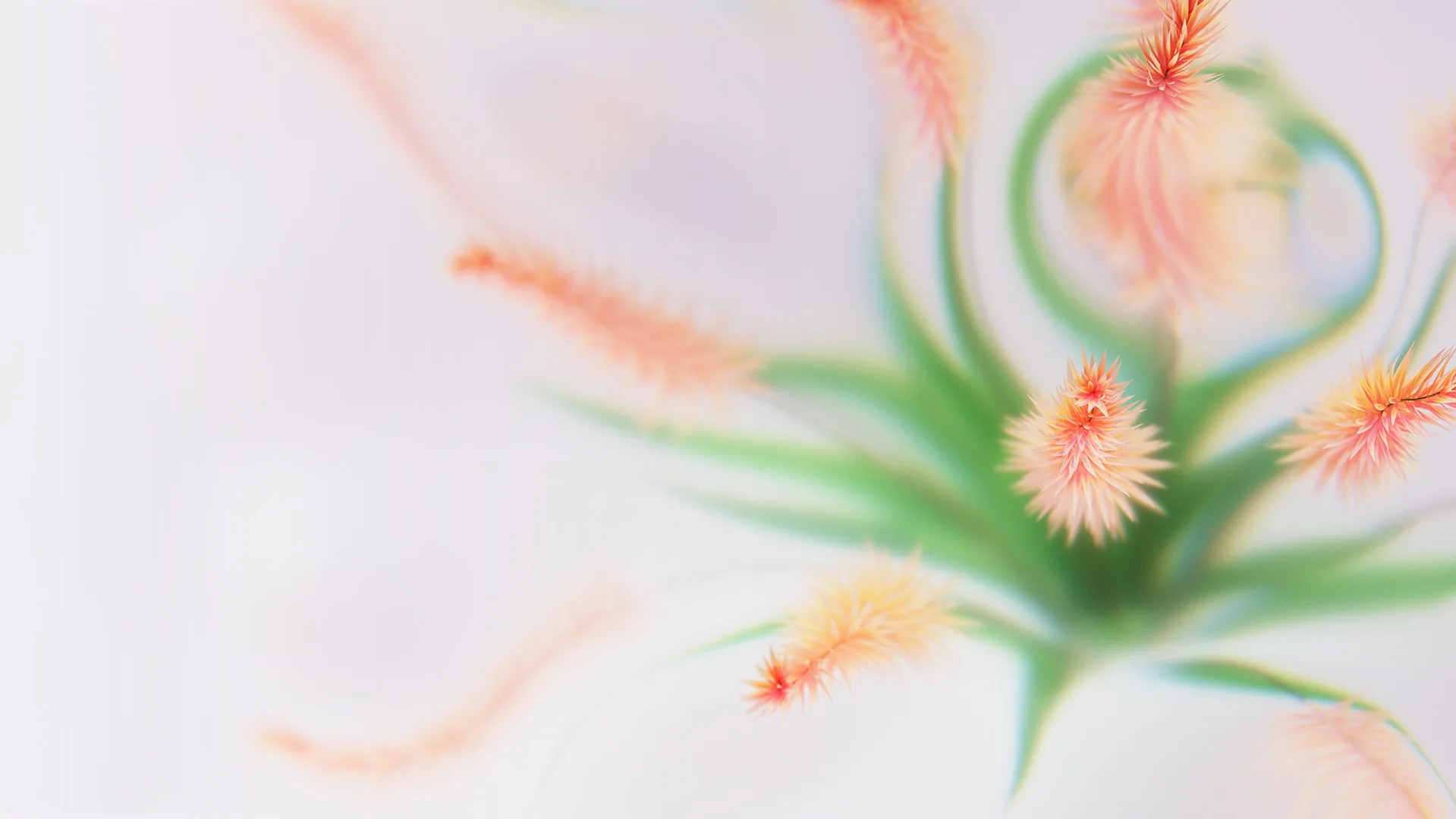 Flower Dreams screenshot 2
