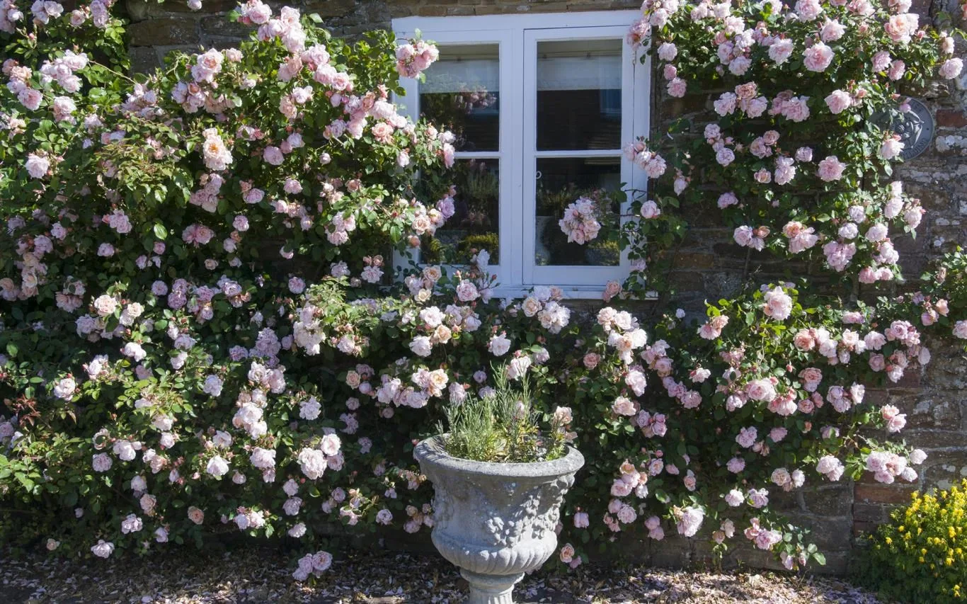 Bountiful Cottage Gardens screenshot 1