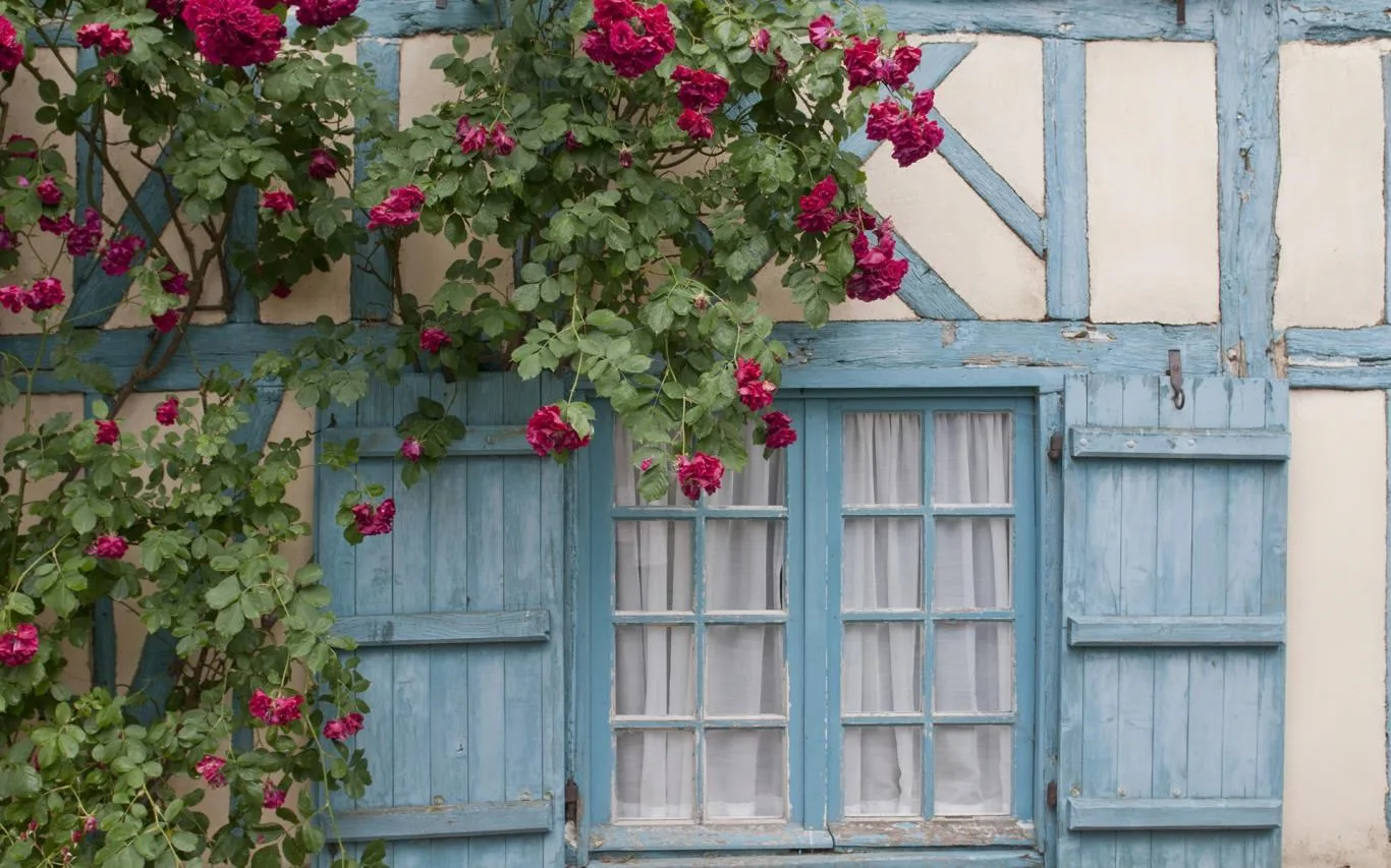 Bountiful Cottage Gardens screenshot 2
