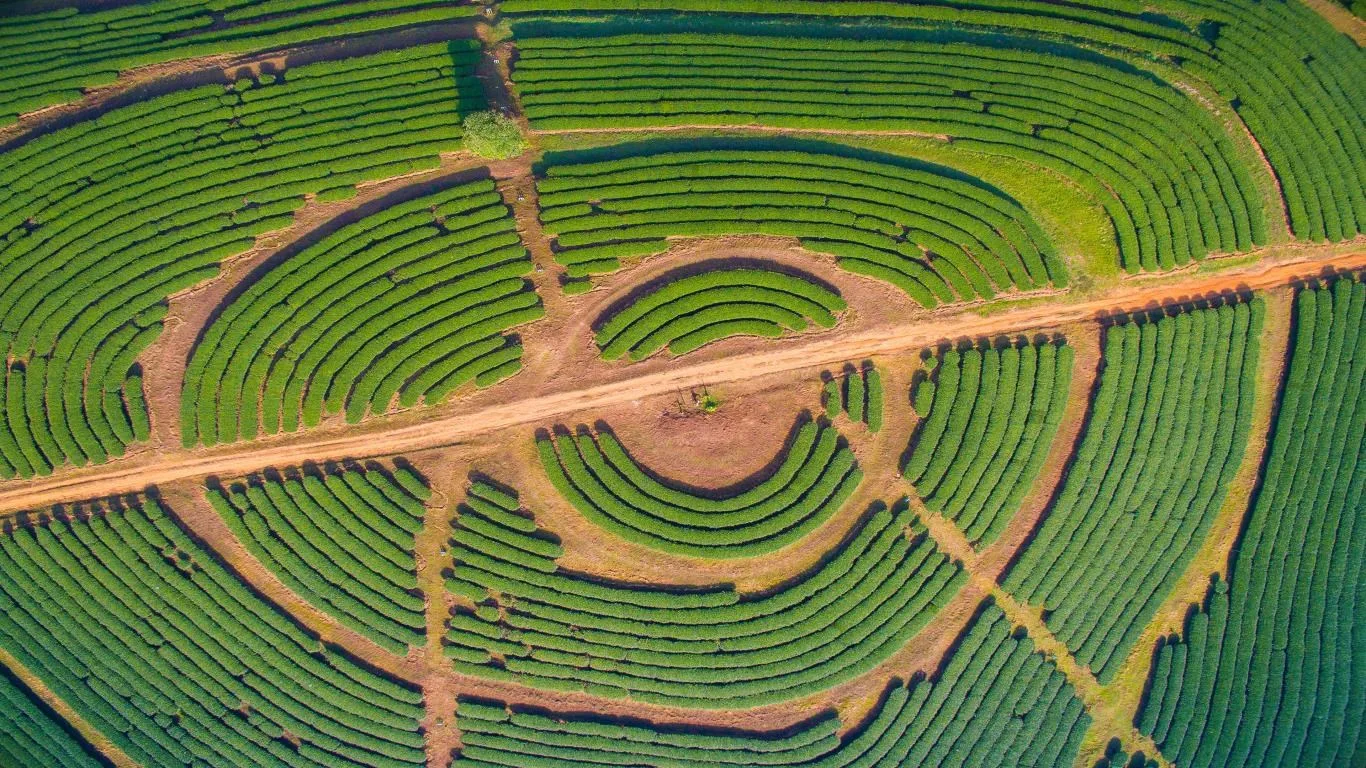 Aerial Farmland screenshot 1