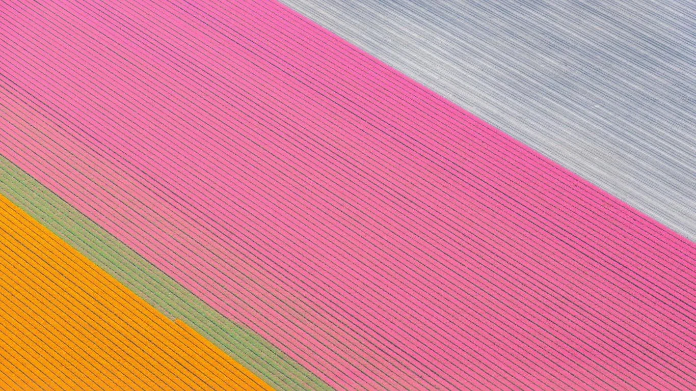Aerial Farmland screenshot 3