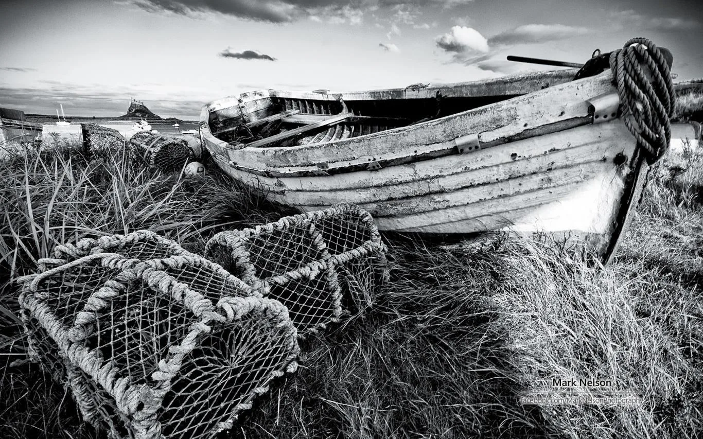 Monochromatic Moods by Mark Nelson screenshot 1