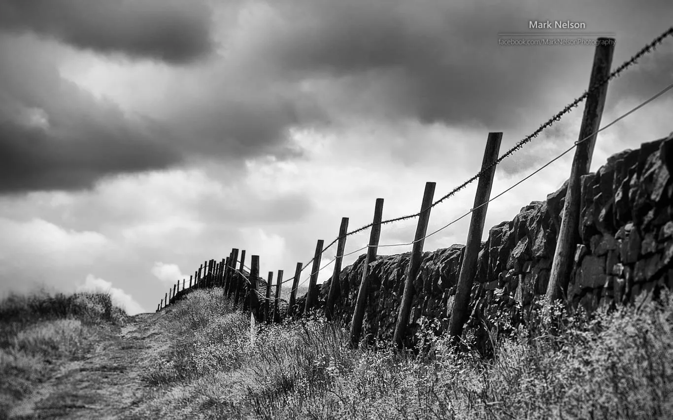 Monochromatic Moods by Mark Nelson screenshot 4