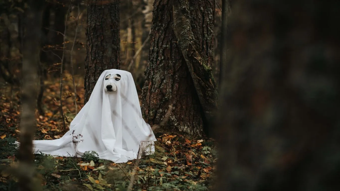 Dogs in Disguise screenshot 2